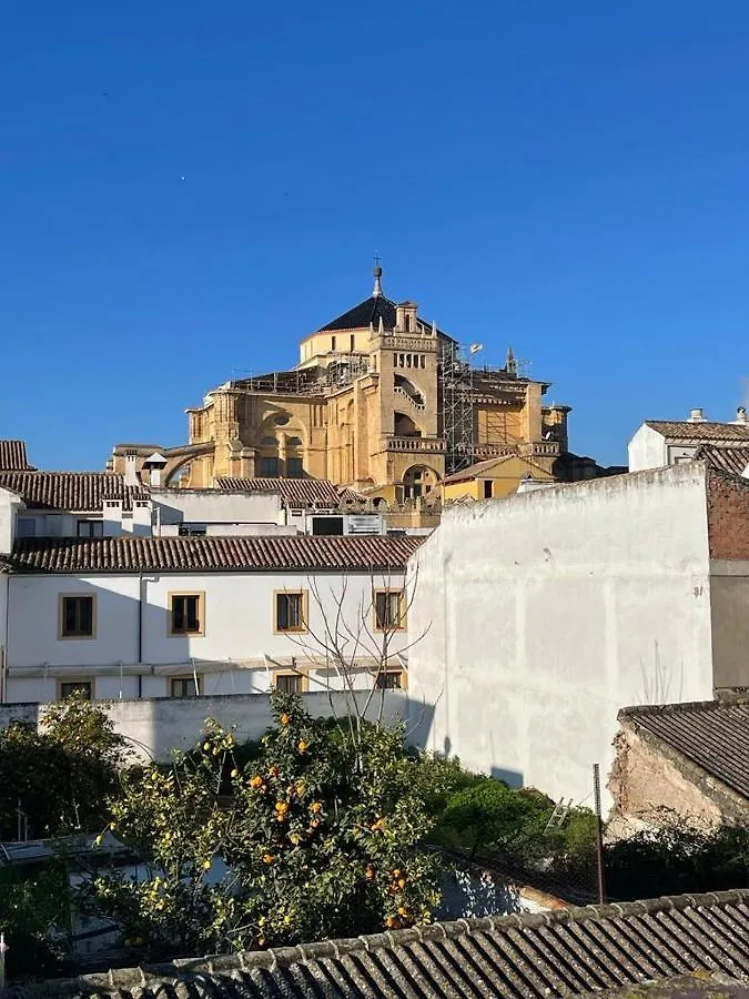 Wallada Mezquita Κόρδοβα Διαμέρισμα